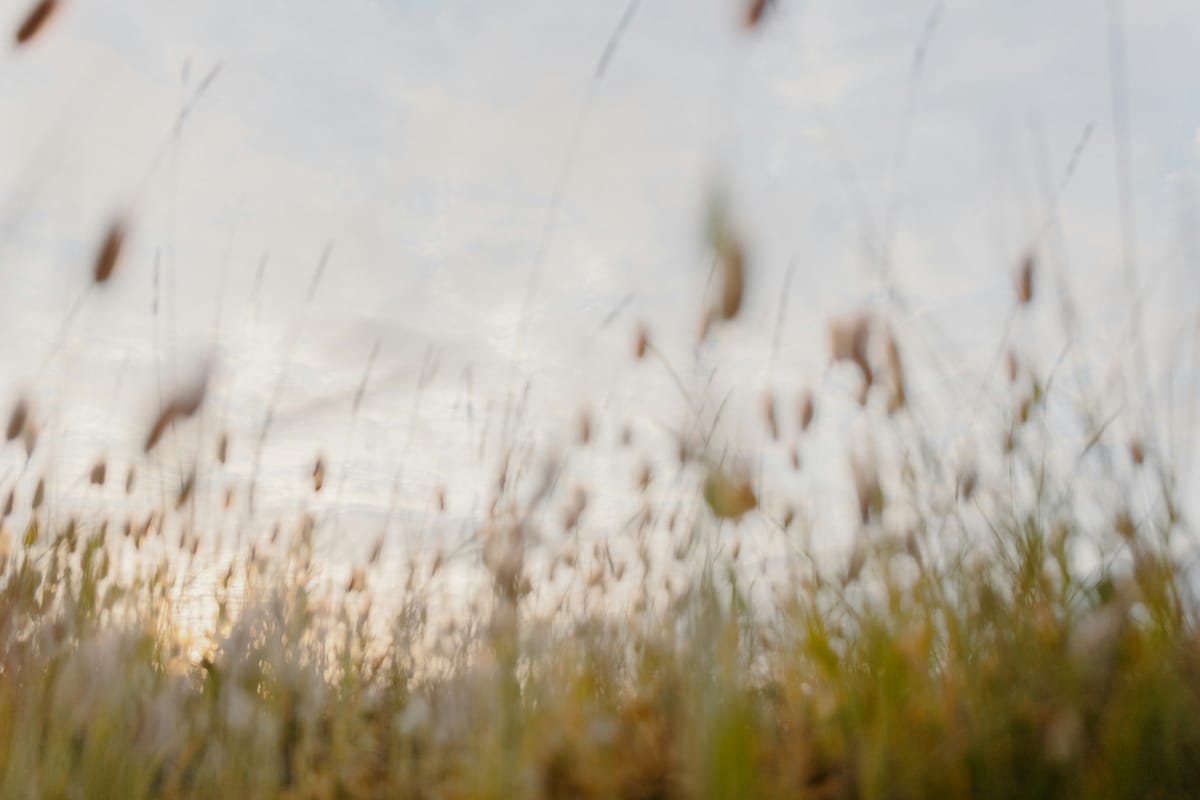 How our ability to navigate the world is connected to self-development