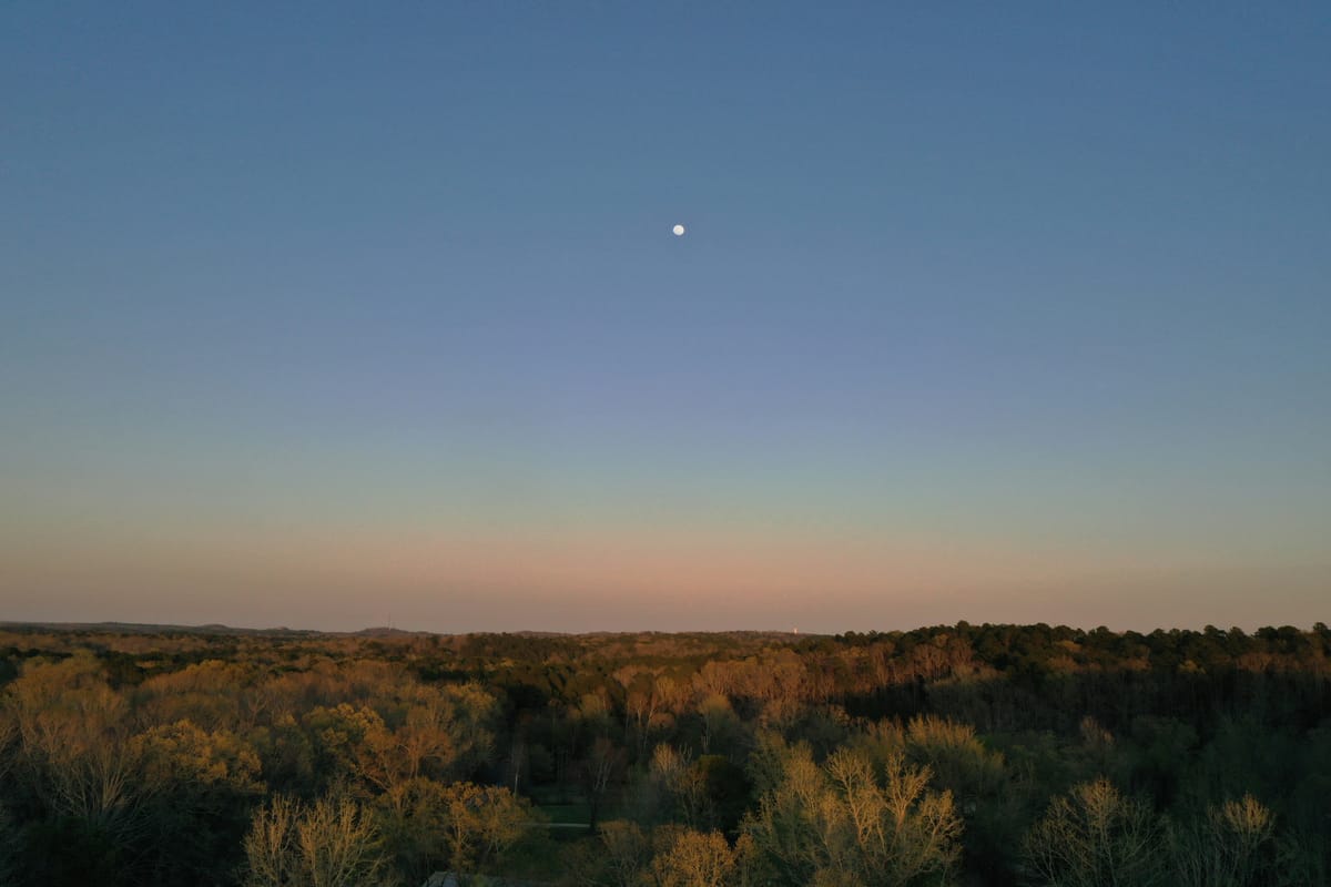 The Three Horizons of Business Foresight